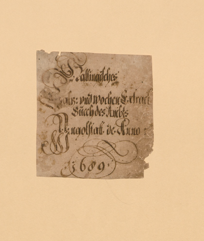 Ingolstadt Gospel Book (ca. 850) - dszfoundation