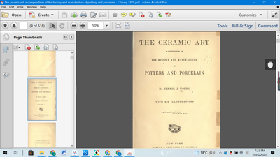 The ceramic art  a compendium of the history and manufacture of pottery and porcelain - J Young 1878 - dszfoundation