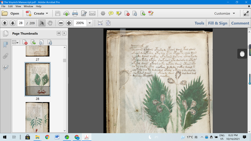 The Voynich Manuscript - dszfoundation
