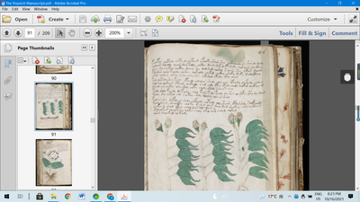 The Voynich Manuscript - dszfoundation